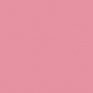 瑶白丝内裤喷我一脸小说
