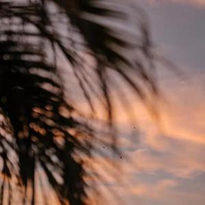 瑶白丝内裤喷我一脸小说
