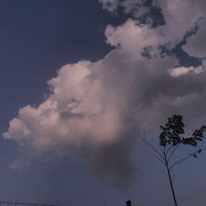 瑶白丝内裤喷我一脸小说
