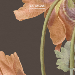 瑶白丝内裤喷我一脸小说
